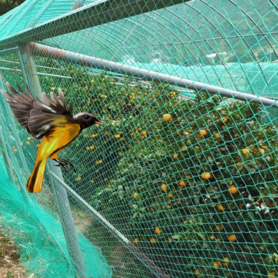 Malla Anti-Pájaros para árboles frutales, jardín para plantas trepadoras